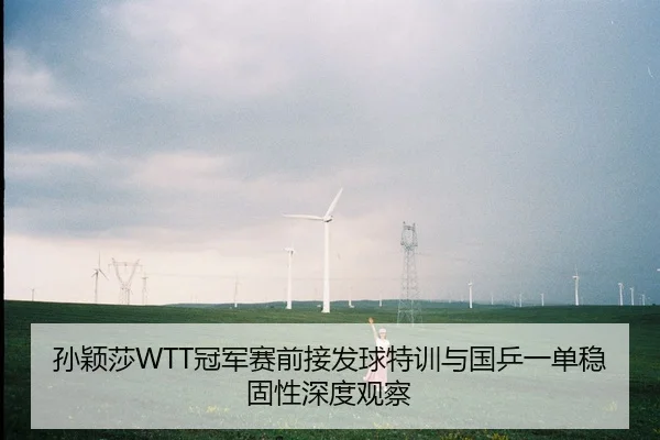 孙颖莎WTT冠军赛前接发球特训与国乒一单稳固性深度观察